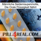 Männliche Seidenraupenmotte, Die Orale Flüssigkeit Nährt 44